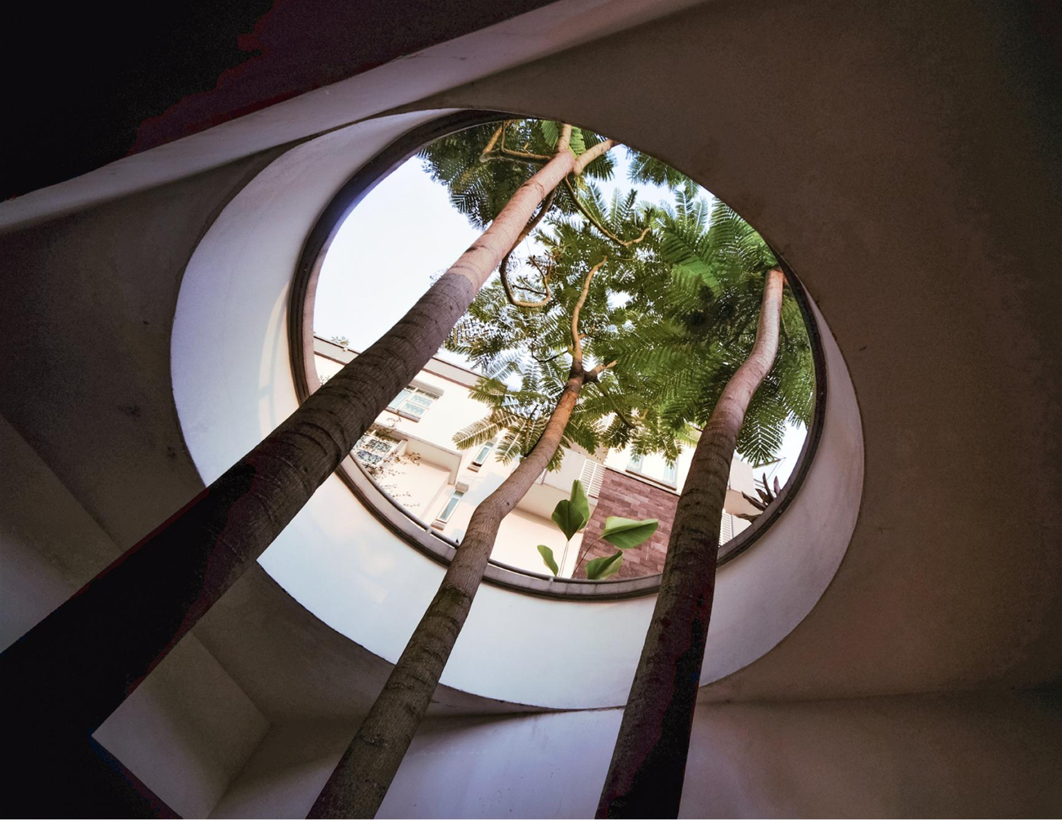 Proceso Arquitectónico